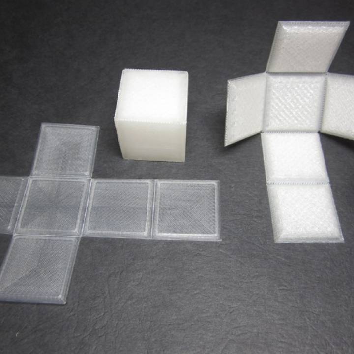 Foldable Cube - Print Flat image