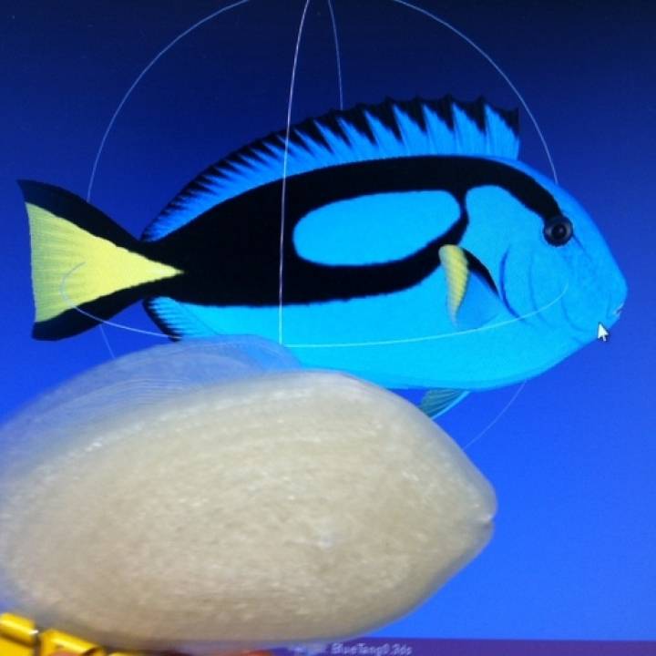 Print this Fish: 3D Printing Challenge image