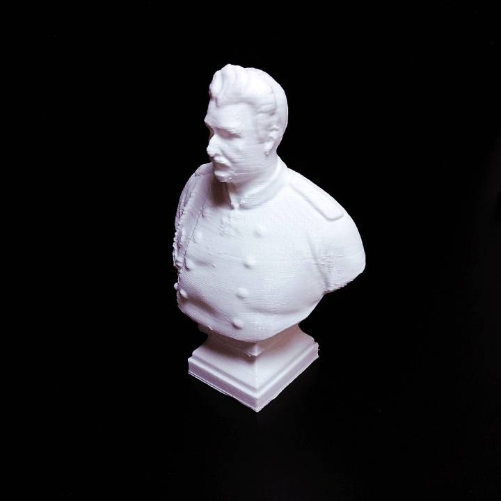 Bust of Nicolay Przhevalsky image