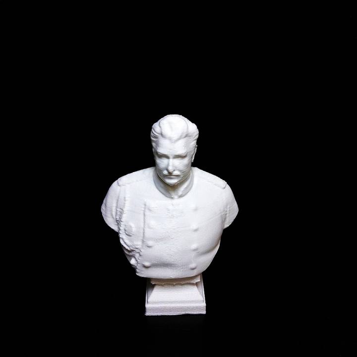 Bust of Nicolay Przhevalsky image