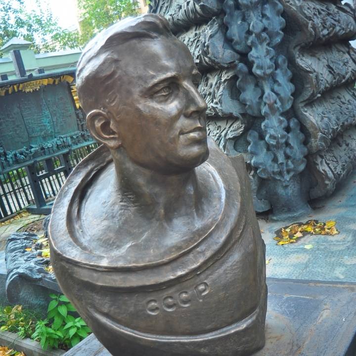 Bust of a USSR Soldier image