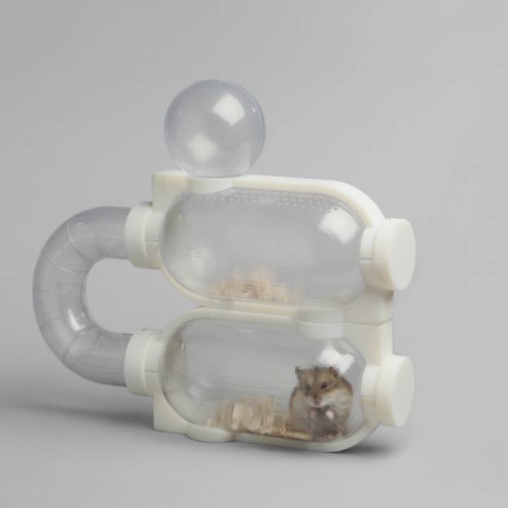 Charles and NiXie's Hamster House on the Moon image
