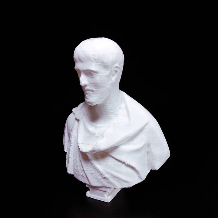 Marble portrait bust of a man image