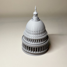 Picture of print of United States Capitol Dome