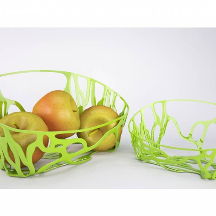 Organic Fruit Basket_ Algorithmic Geometry image