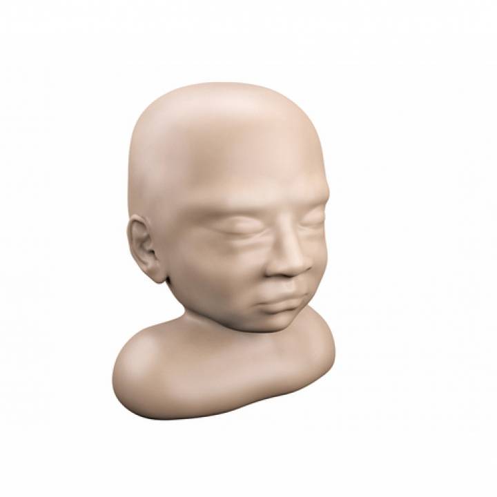 Baby Head image
