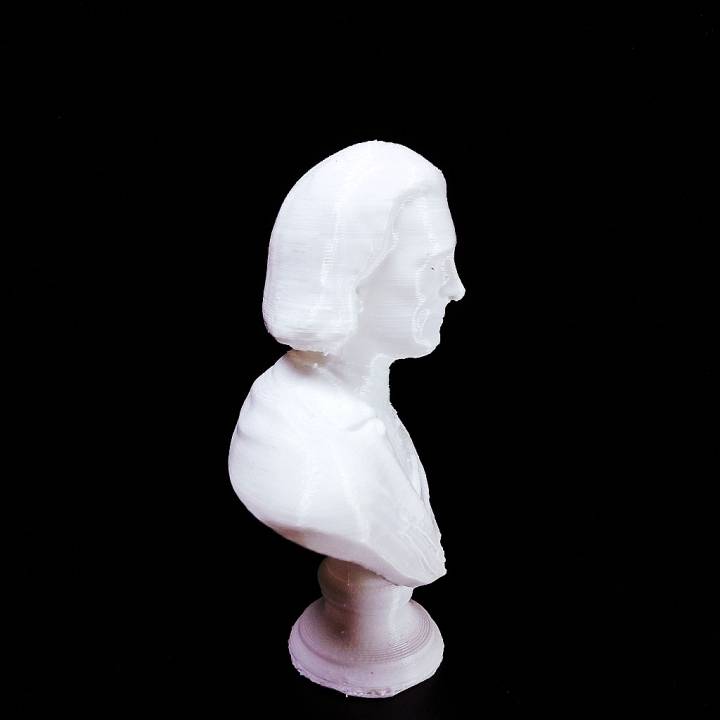 Bust of Franz Liszt image