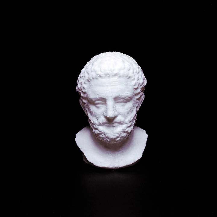 Antoninus pius image