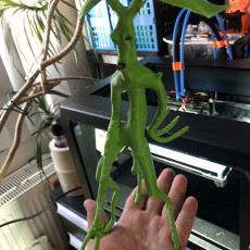 Picture of print of Pickett - Bowtruckle