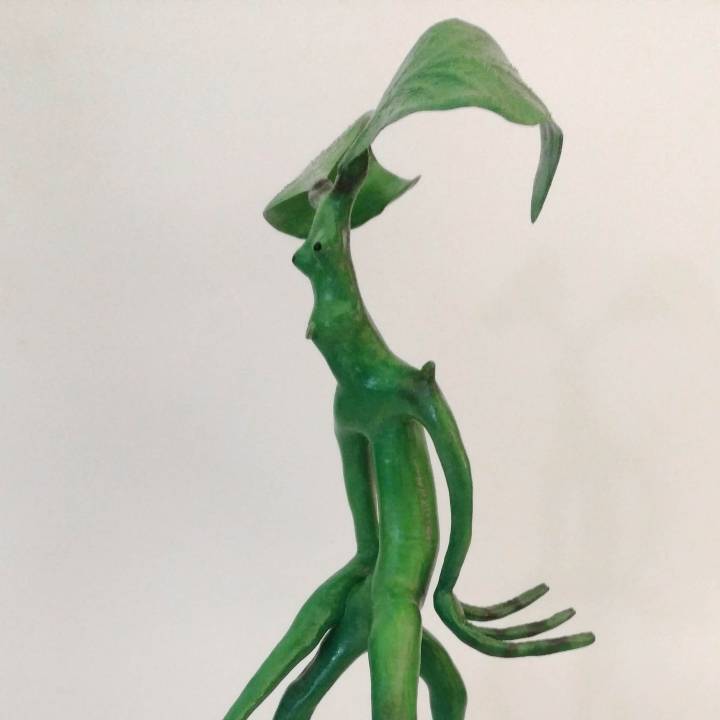 Pickett - Bowtruckle image