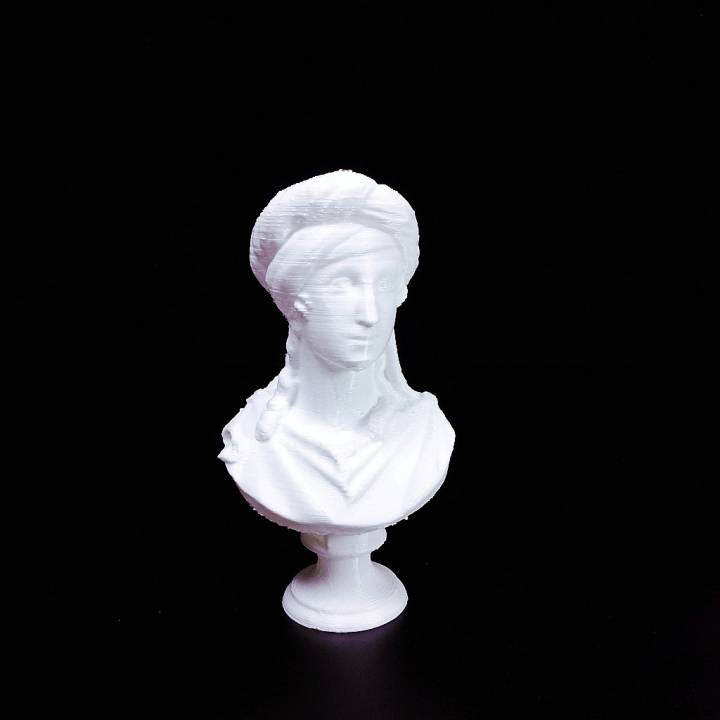 Bust of Rosalie Schodel image