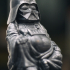 Yoda & Darth Vader - Pop Buddhas print image