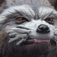 Picture of print of Guardians of the Galaxy Rocket Raccon