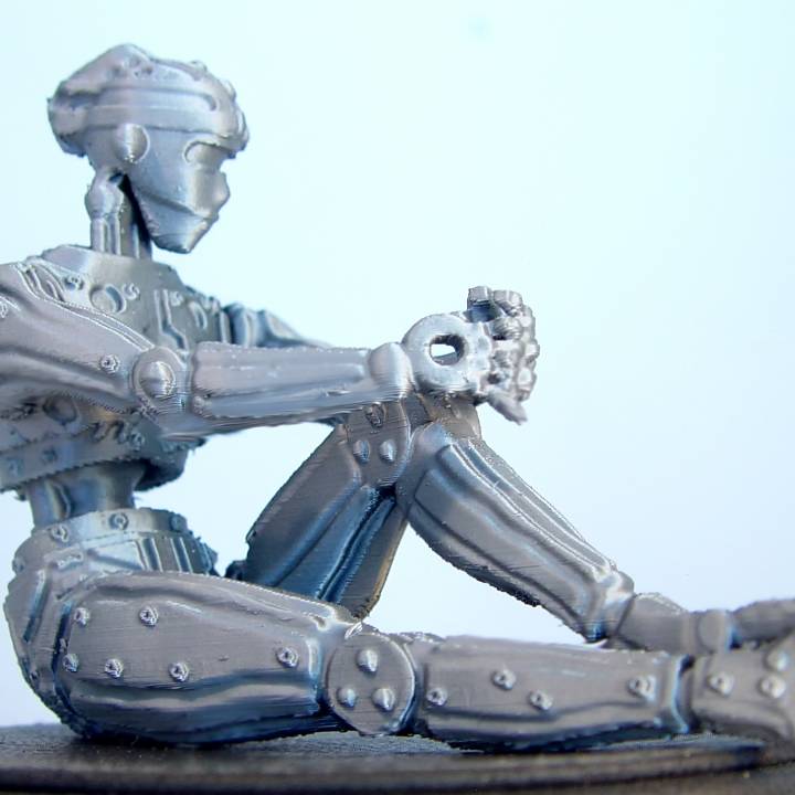 Female Humanoid Robot image