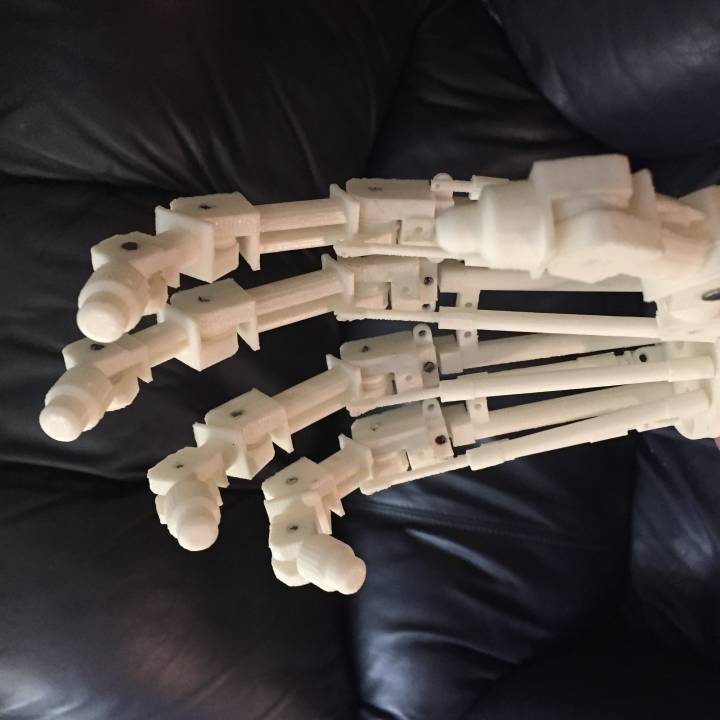 Terminator Arm (inches) image