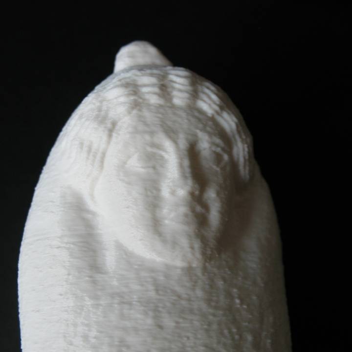 Sarcophage sculpté d'un visage féminin image