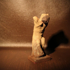 Picture of print of Narcisse 8 inch Rodin 3D scan From Portland Art Museum