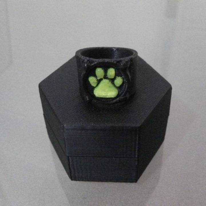 Chat Noir's Ring image