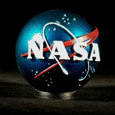 Picture of print of NASA Insignia