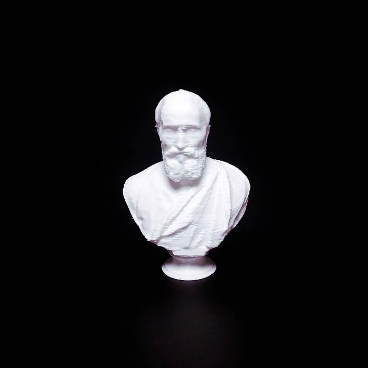 Portrait of Michelangelo image