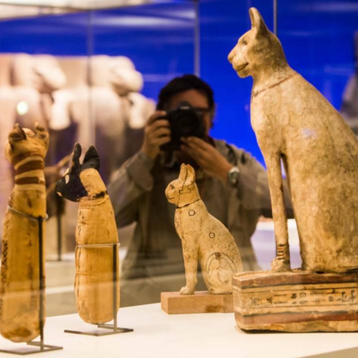 720X720-21149-animals-and-pharaohs-a-luxurious-exhibition-of-egyptian-treasures-in-madrid-1-large.jpg