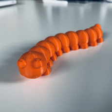Picture of print of Caterpillar (Articulated)