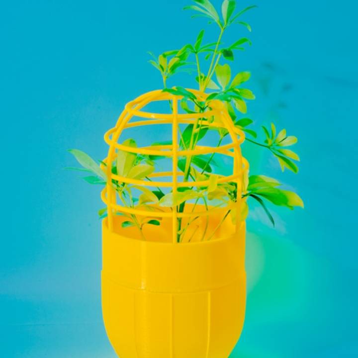 Materialize─Potted image