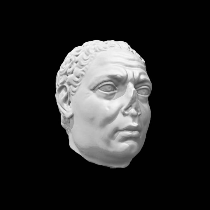Roman portrait head of the Emperor Vitelius image
