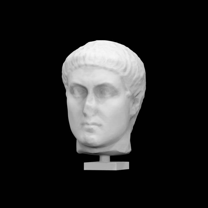 Portrait of Constantine or of one of his sons image