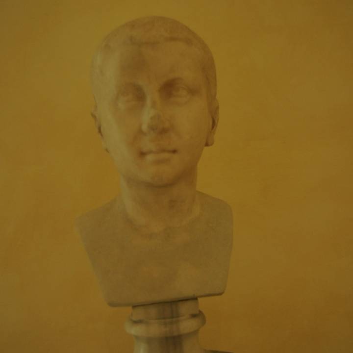 Portrait of Gordian III image