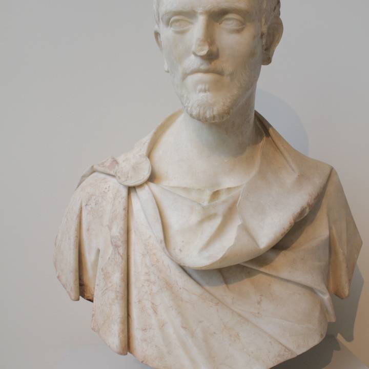 Portrait bust of a man image