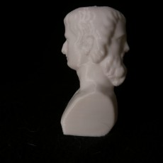 Picture of print of Bust of Two-Faced Janus