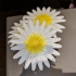 Daisy - Flat flower print image