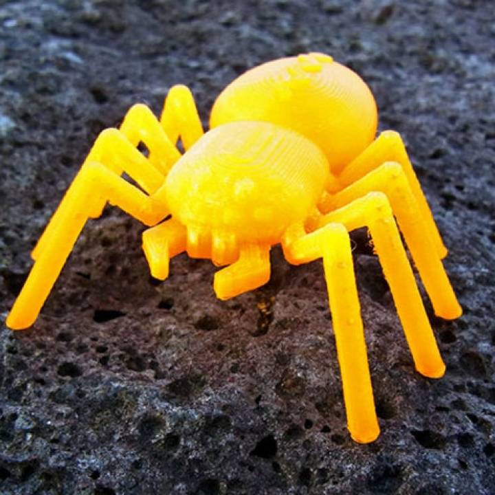 Spider ... With 8 legs, and 8 Eyes image