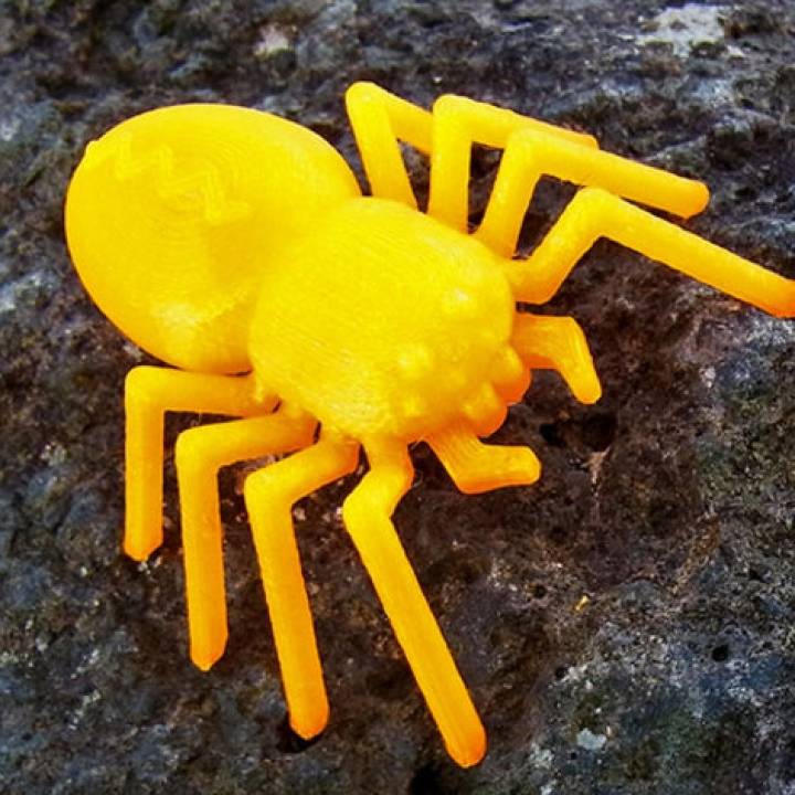 3D Printable Spider With 8 legs, and 8 Eyes by Muzz64