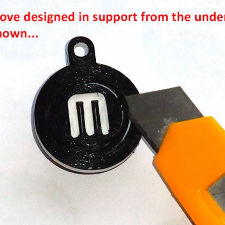 Rotating Key Chain / Fob... with spinning MakerBot Logo! image