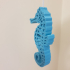 Seahorse - Balanced so it stands on its tail! print image