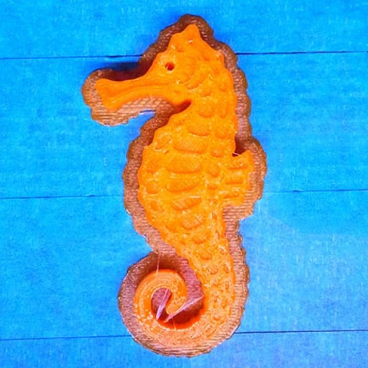 Seahorse - Balanced so it stands on its tail! image