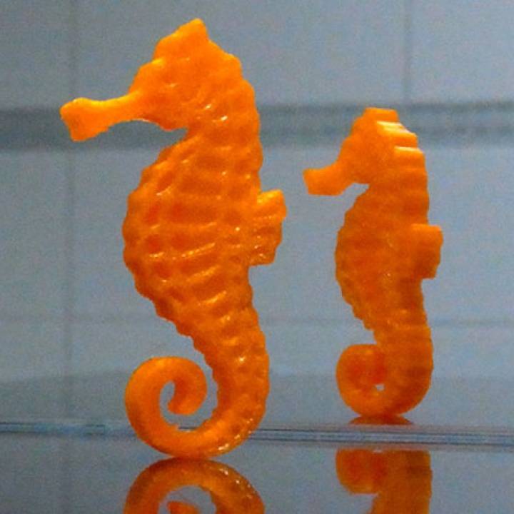 Seahorse - Balanced so it stands on its tail! image