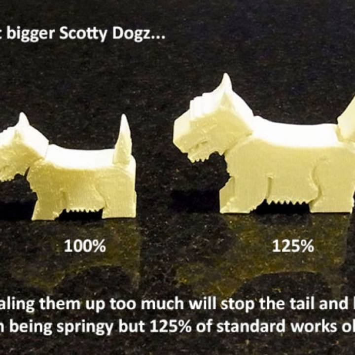 Scotty Dogz image