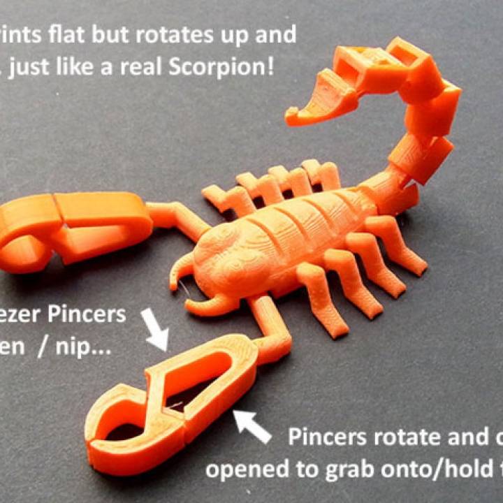 Scorpionz... With Rotating Tail And Pincers That Nip! image