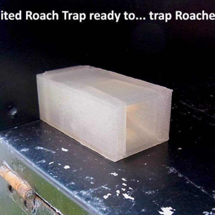 Roach Trap...Reusable trap to catch and kill cockroaches image