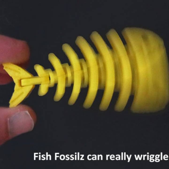 Fish Fossilz image