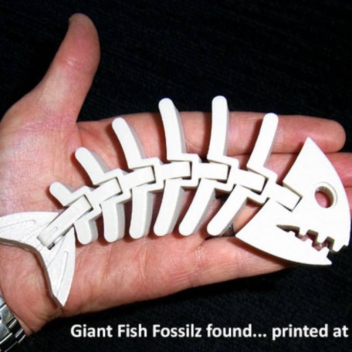 Fish Fossilz image