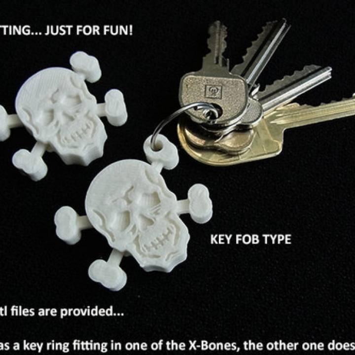 Skull And Rattly Bones image