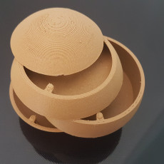 Picture of print of ORBZ - A Mutli-Layerd Orb Shaped Storage Solution