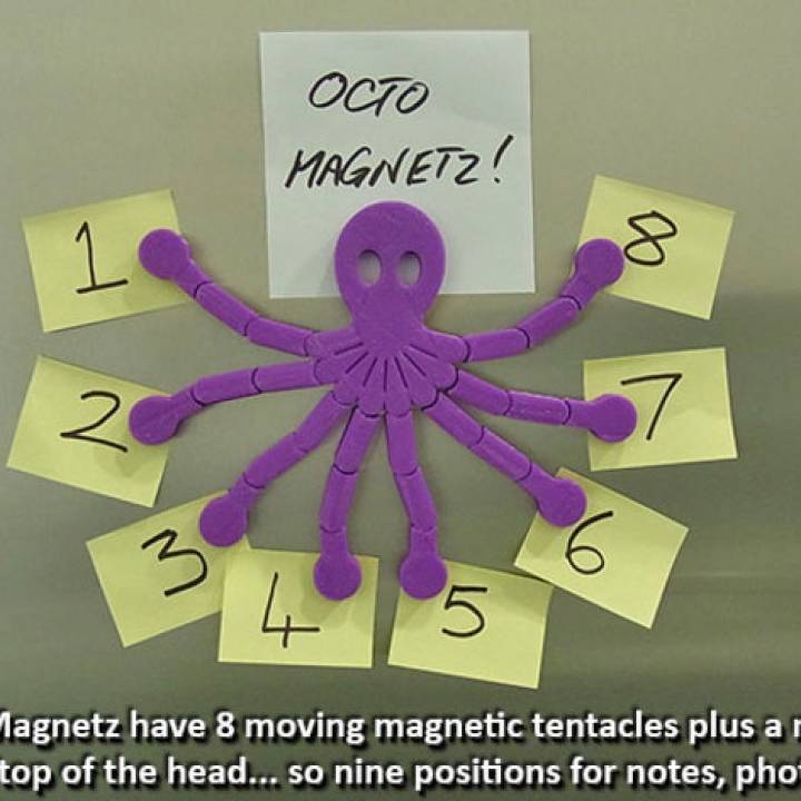 Octo Magnetz... The Ultimate Fridge Magnet! image