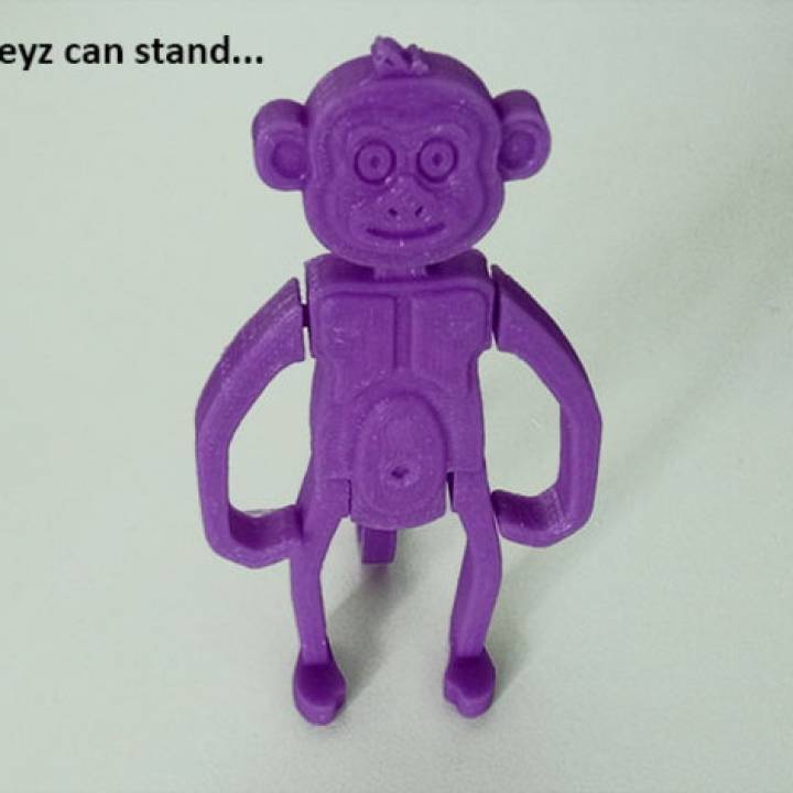 Monkeyz image