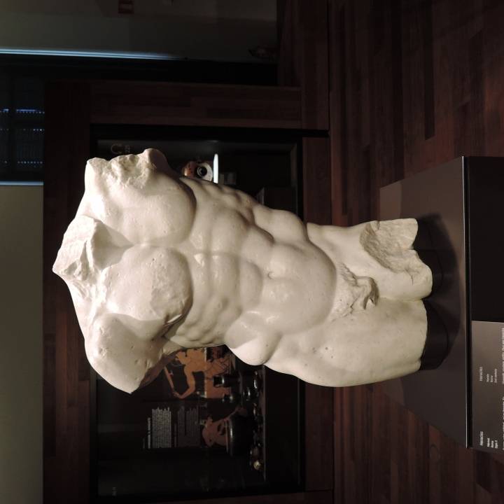 Torso of Hercules image