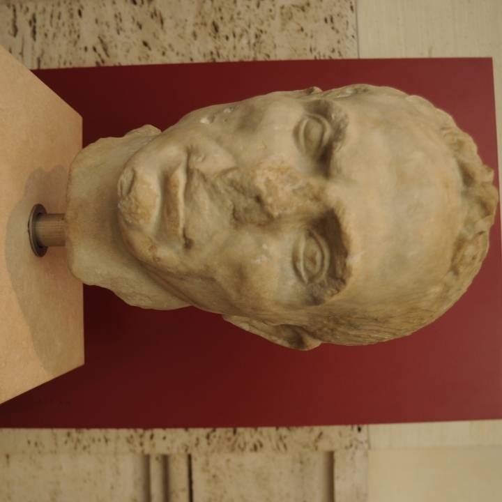 Head of an Old Man image
